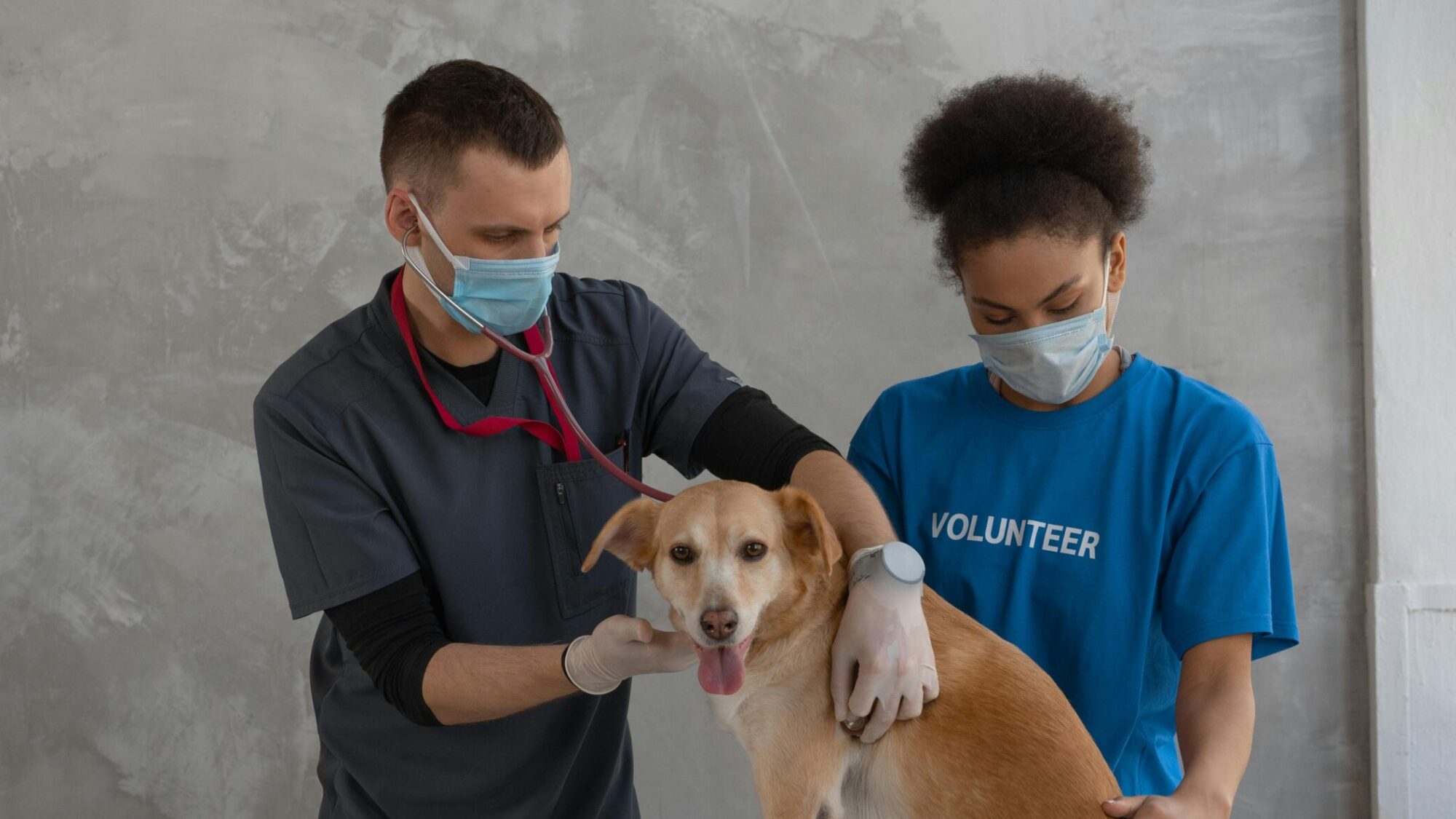 Volunteers